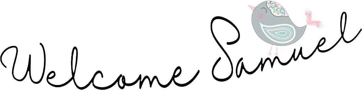 Special Personalised Names Bibs