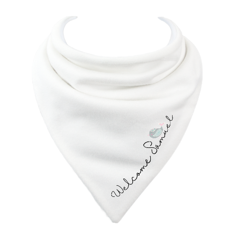 Special Personalised Names Bibs